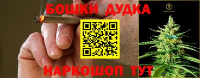спиды Тара