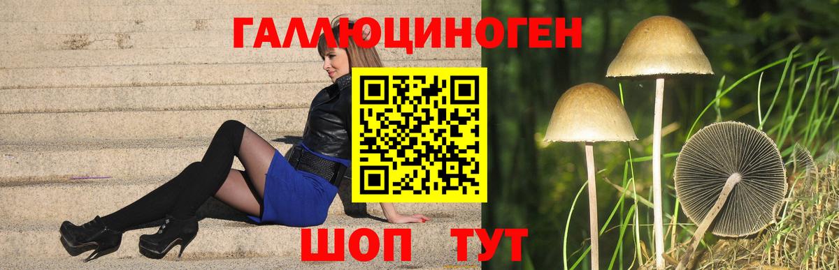 Галлюциногенные грибы GOLDEN TEACHER Воткинск